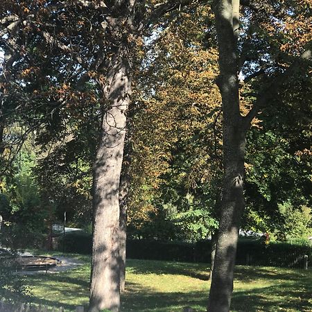 Apartament Domizil Eutschuetzgruen Bannewitz Zewnętrze zdjęcie