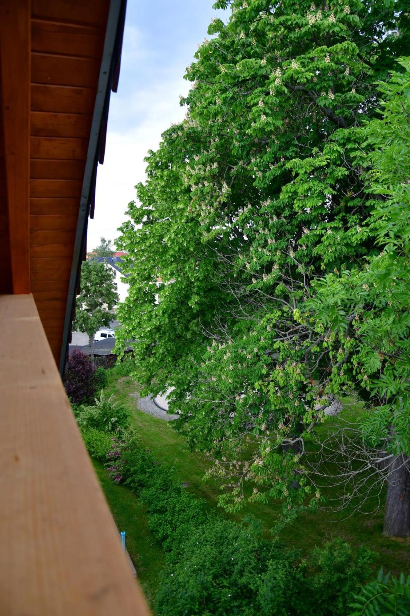 Apartament Domizil Eutschuetzgruen Bannewitz Zewnętrze zdjęcie