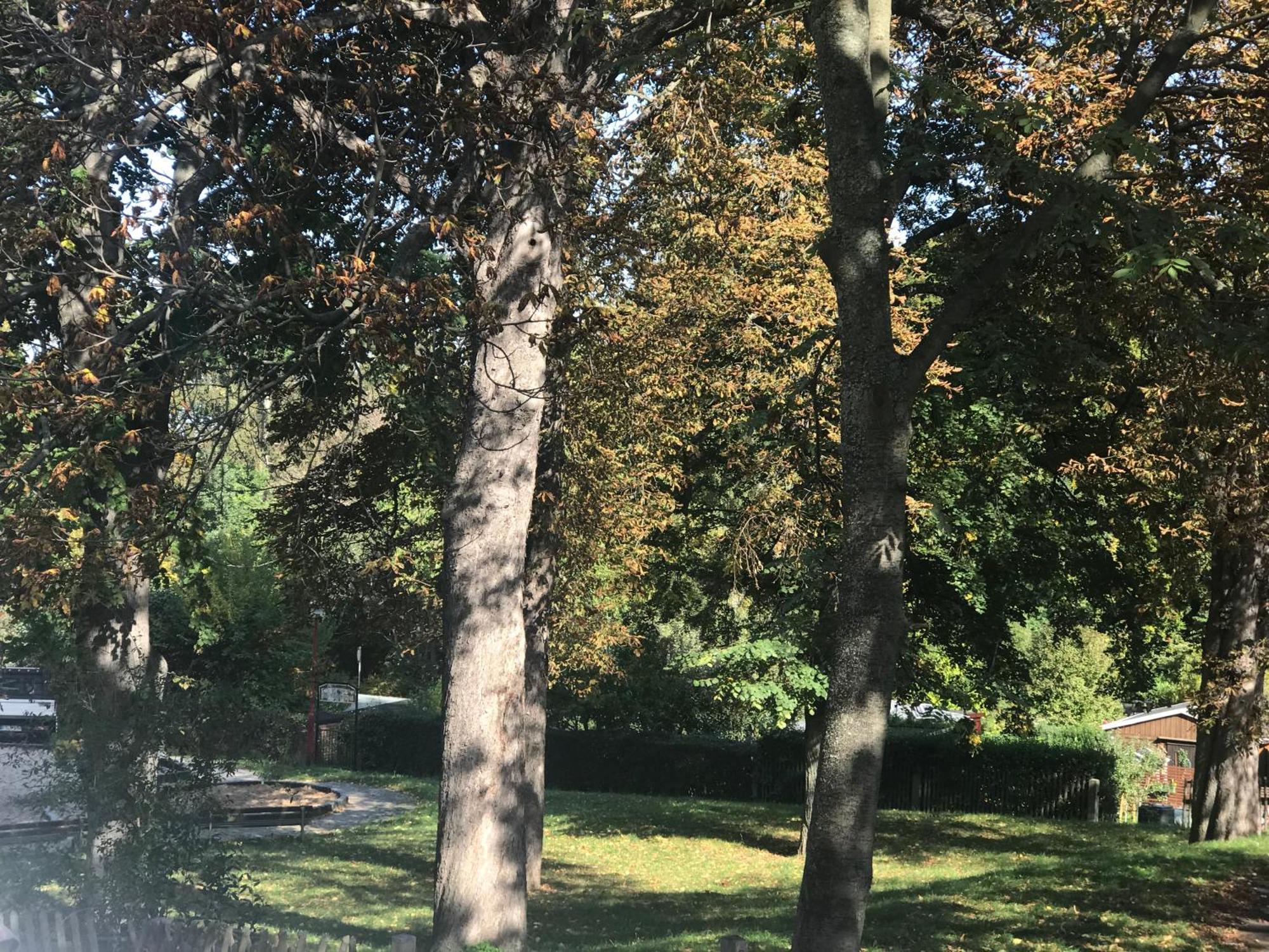 Apartament Domizil Eutschuetzgruen Bannewitz Zewnętrze zdjęcie